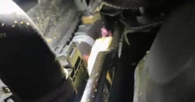 Réparation de Fuite de Liquide de Refroidissement sur une Nissan Micra à Bennwihr Gare, proche de Houssen