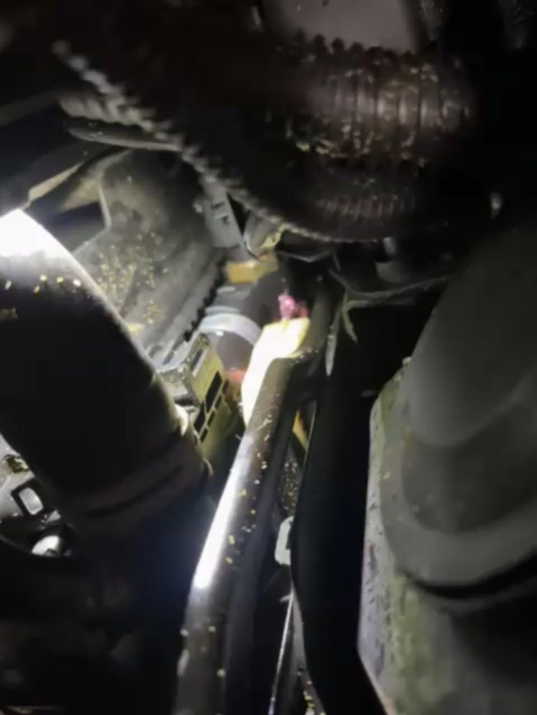 Réparation de Fuite de Liquide de Refroidissement sur une Nissan Micra à Bennwihr Gare, proche de Houssen